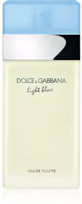 Dolce & Gabbana Light Blue Eau de Toilette für Damen 100 ml