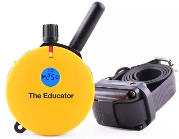 E-Collar Educator ET-400 Erziehungshalsband Hund Strom