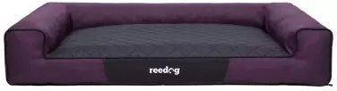 Hundebett Reedog Purple Plain